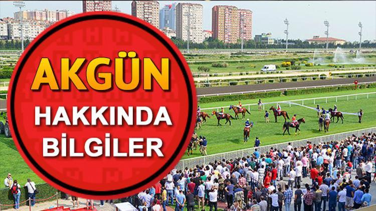 Gazi Koşusu adaylarından Akgün'ün biyografisi ve sahibi hakkında detaylar