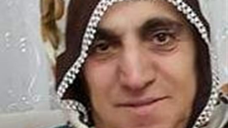 Hayrete düşüren olay! Arının soktuğu kadın öldü