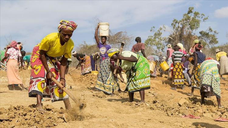 Kenya'da kuraklık sebebiyle çok sayıda kişi açlık tehdidi altında