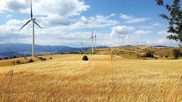 Dev yapılandırmadan halka arz çıktı