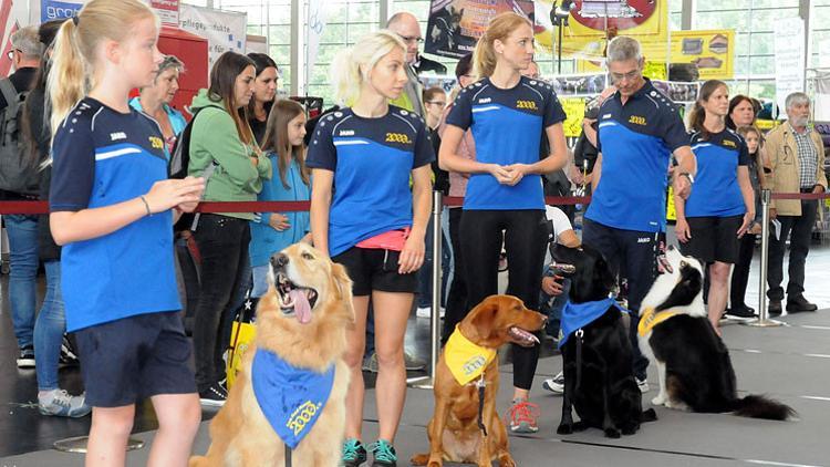 4 bin köpek şampiyonluk için yarıştı