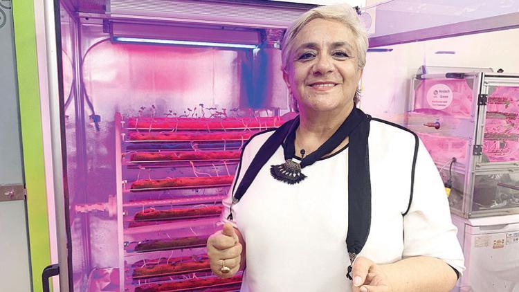Akıllı fide makinesi