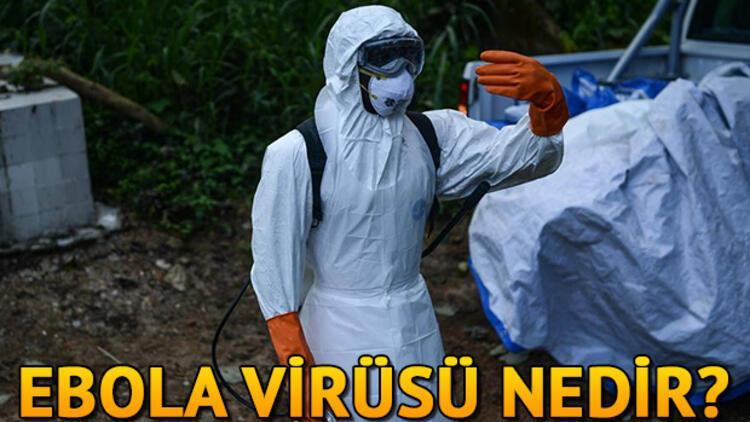 Ebola virüsü nedir? Ebola virüsü nasıl bulaşır?