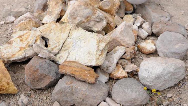 Baraj kıyısından 280 fosil çıktı