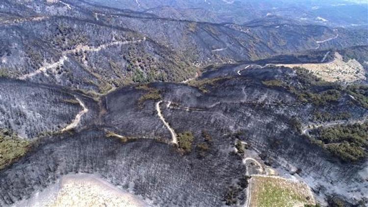 İzmir'de özel ekip kuruldu, orman yangınının nedeni araştırılıyor