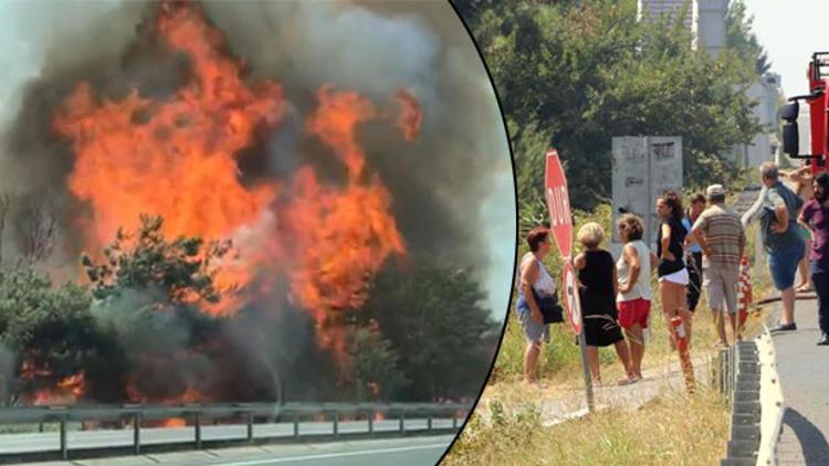 Tekirdağ’da yazlıkçıları korkutan yangın