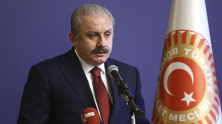 Şentop'tan 30 Ağustos Zafer Bayramı mesajı