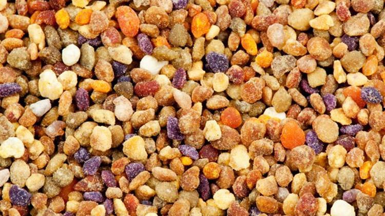 Arılardan Gelen Şifa: Propolis Nedir? Faydaları Nelerdir?