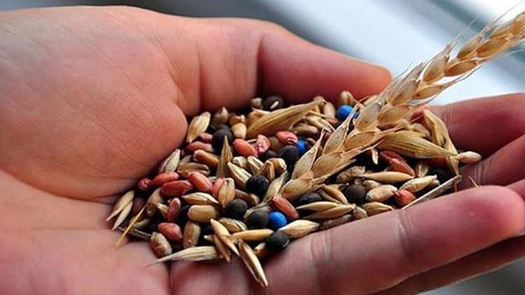 Tohumluklara "yerel çeşit" logosu geliyor