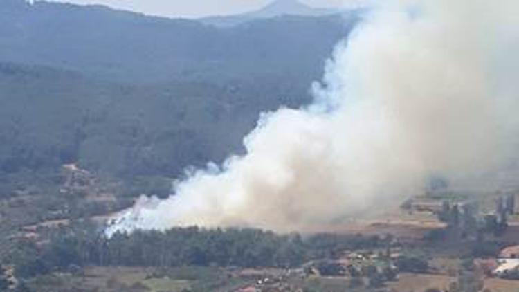 Muğla'da orman yangını