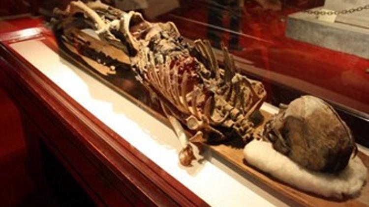 Görülmesi Gereken İstanbul Müzeleri