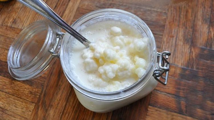 Kefir Mucizesi