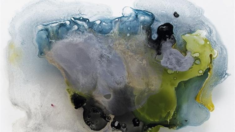 Neslihan Karaağaç: Apophenia Sergisi