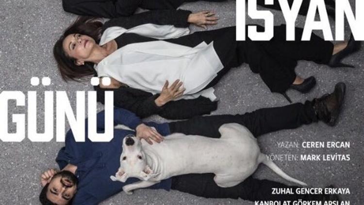 Köpeklerin İsyan Günü!