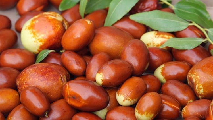Hünnap Nedir? Hünnap Meyvesinin Bilinmeyen Faydaları