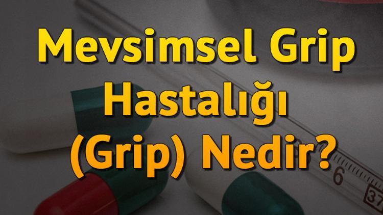 Mevsimsel Grip Hastalığı (Grip) Nedir?