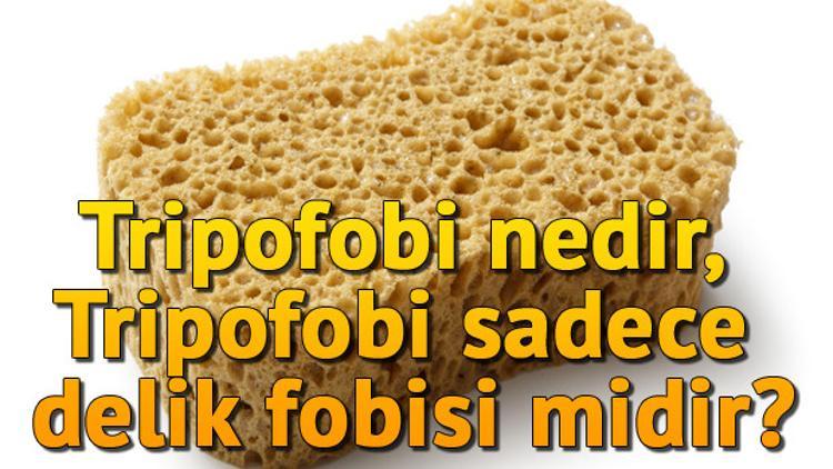 Tripofobi nedir, Tripofobi sadece delik fobisi midir?