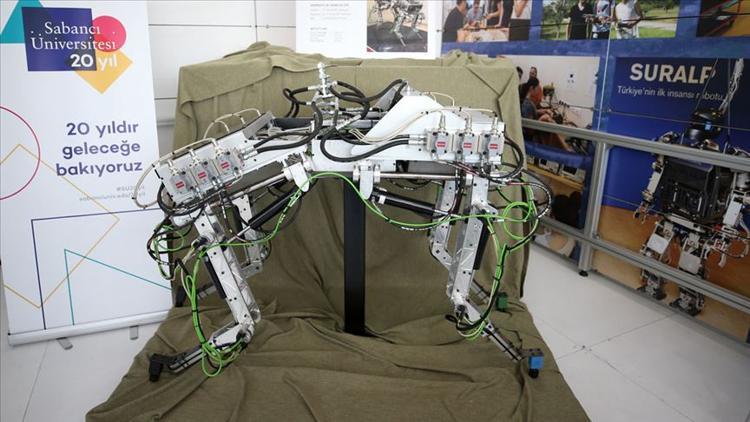 Dört bacaklı 'kangal' robot görücüye çıktı
