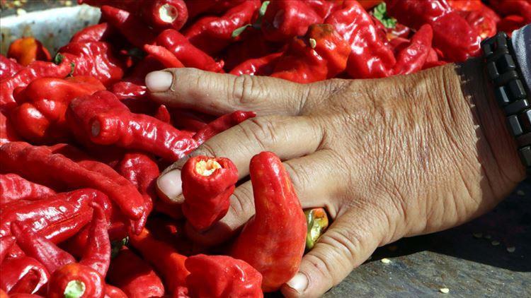 Türkiye'nin "acısı" 91 ülkeyi yaktı