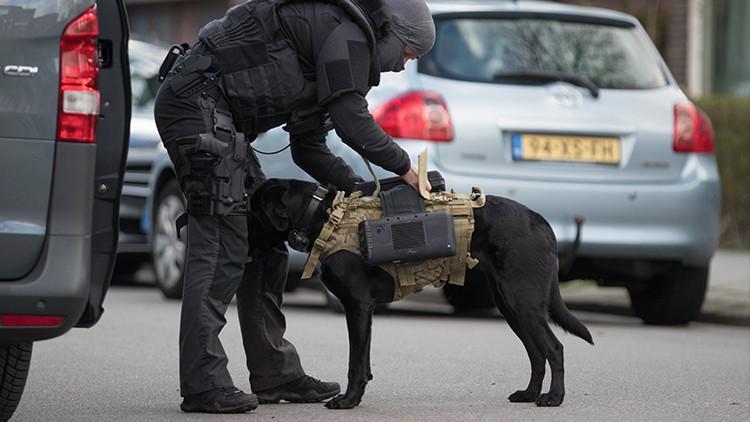 Hollanda'da ayakkabıları ve köpeği ile camiye baskın yapan polise tepki