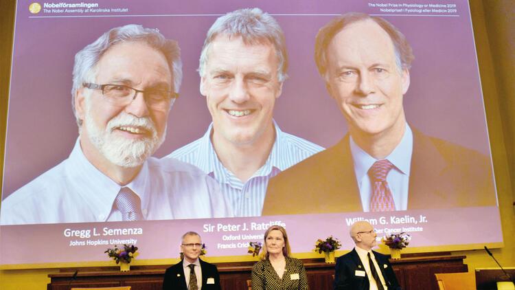 Nobel Tıp Ödülü hücrebilimcilere