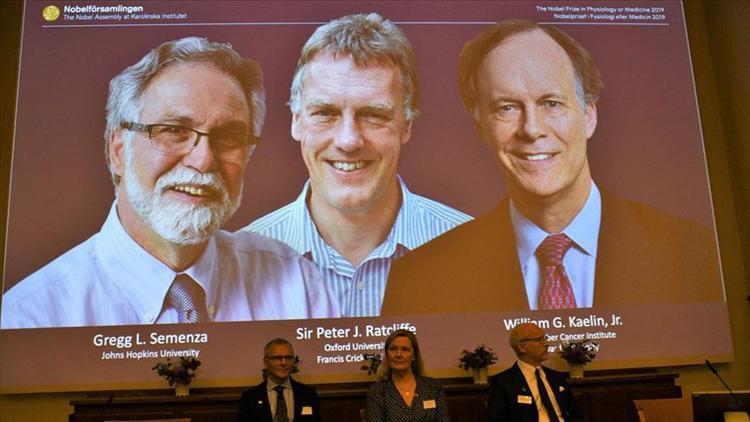 2019 Nobel Tıp Ödülü'nü kazananlar açıklandı