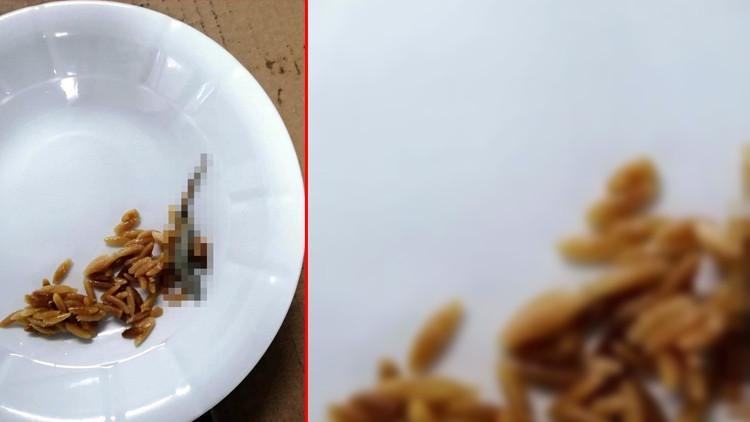 Hastanedeki yemekten çıktı! Yetkililer harekete geçti