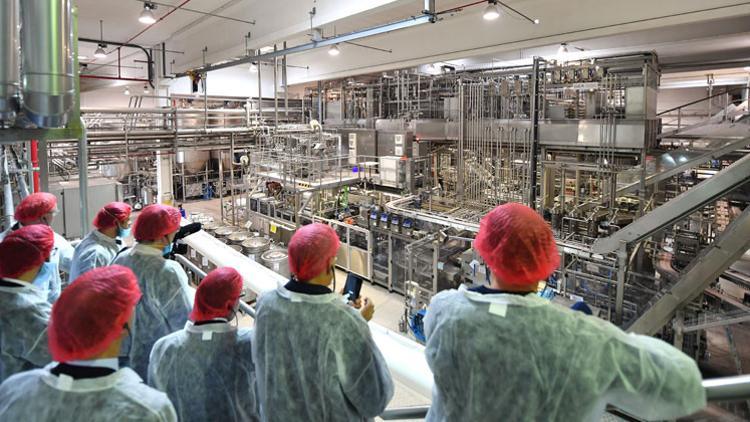 Sütte bakteri paniği! Hangi markalar ürünlerine iade istedi