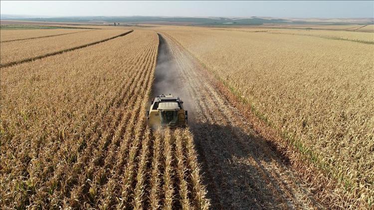 FAO’dan yerli üreticiyi destekleme mesajı