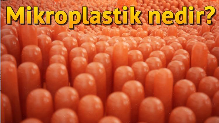 Mikroplastik nedir?