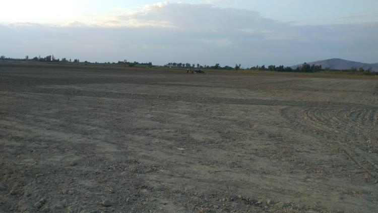 Osmaniye’de arazi kavgası kanlı bitti: Ölü ve yaralılar var