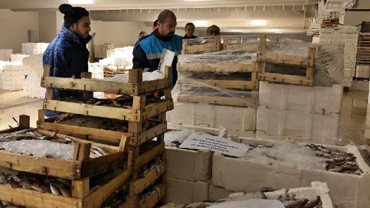 Boy yasağına uymayan 8,5 ton balığa el koyuldu
