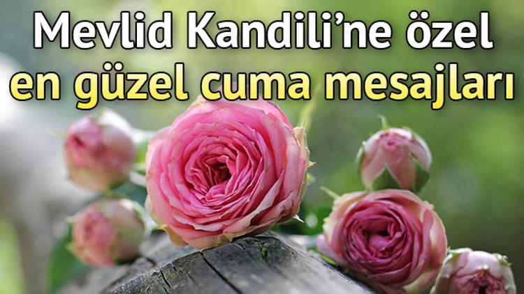 Cuma mesajları Mevlid Kandili'nde de unutulmadı