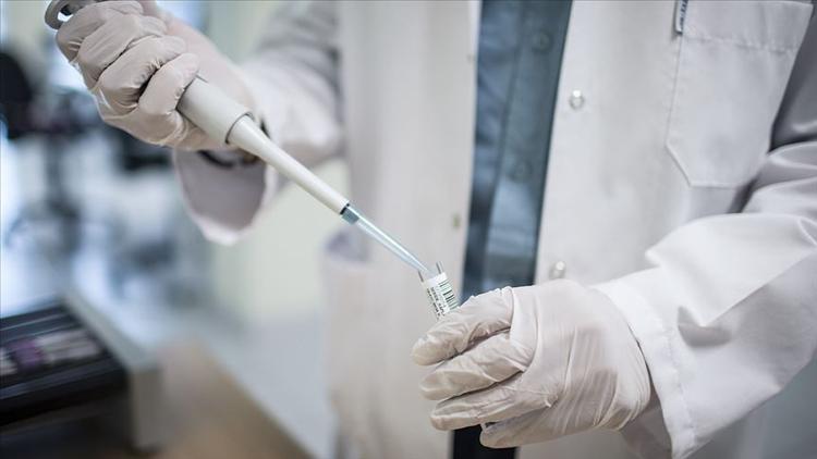 Bilim insanları, HIV'in yeni bir alt türünü yakaladı