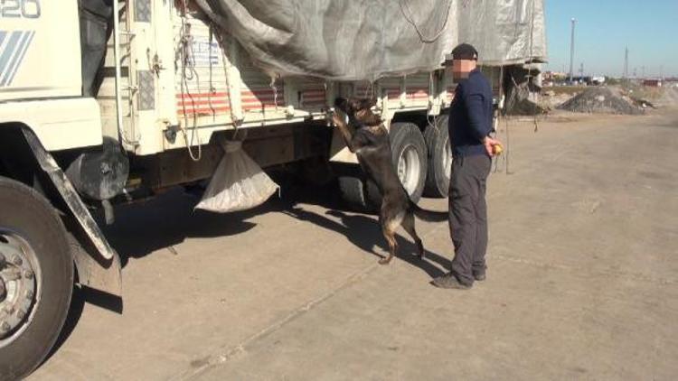 Diyarbakır'da 489 kilo esrar ele geçirildi