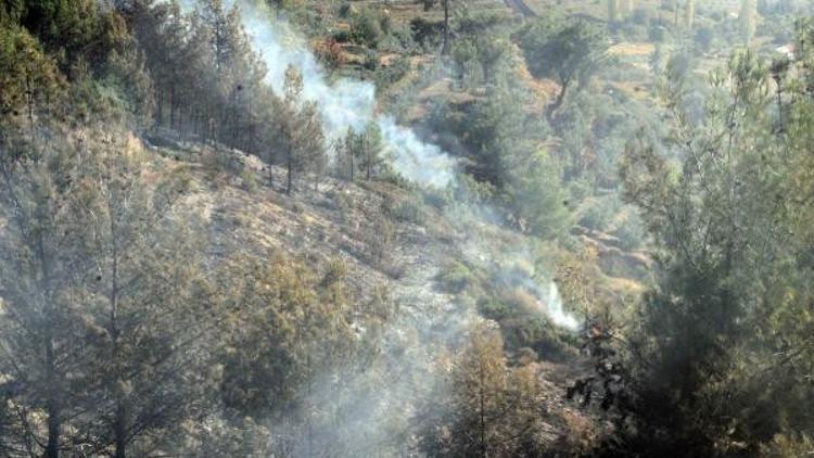 Seydikemer'de orman yangını