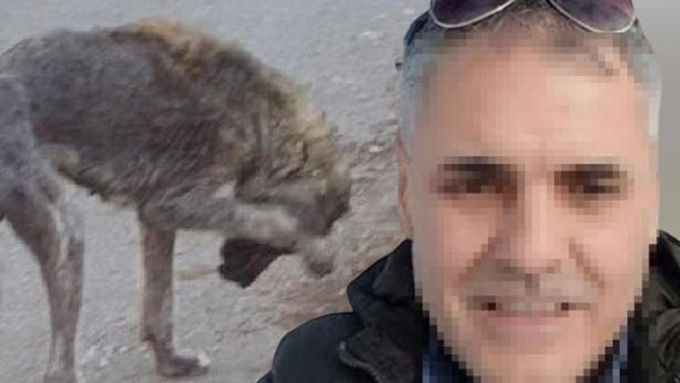 Sokak hayvanlarını öldüreceğini söyleyen belediye çalışanı gözaltına alındı