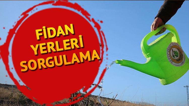 Geleceğe Nefes nedir? Geleceğe Nefes kampanyası fidan dikim yerleri nerede?