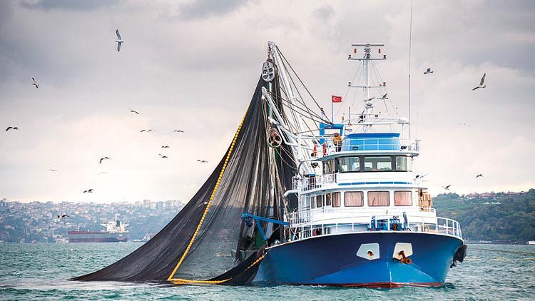 Palamut el yakıyor