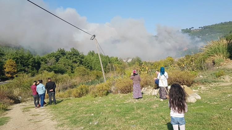 Osmaniye'de orman yangını