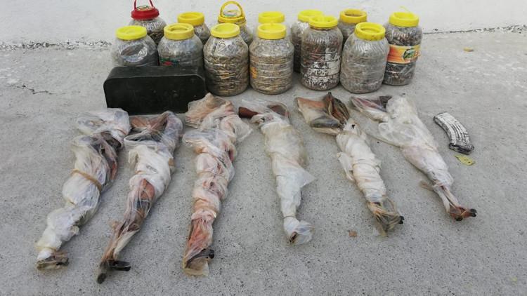 Tatvan’da PKK'ya ait silah ve mühimmat ele geçirildi