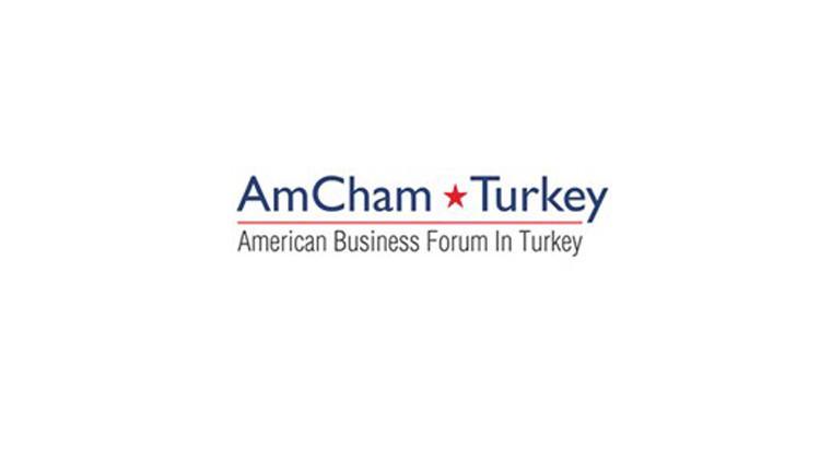 Amerikan Şirketler Derneği'nin yeni başkanı Tankut Turnaoğlu oldu