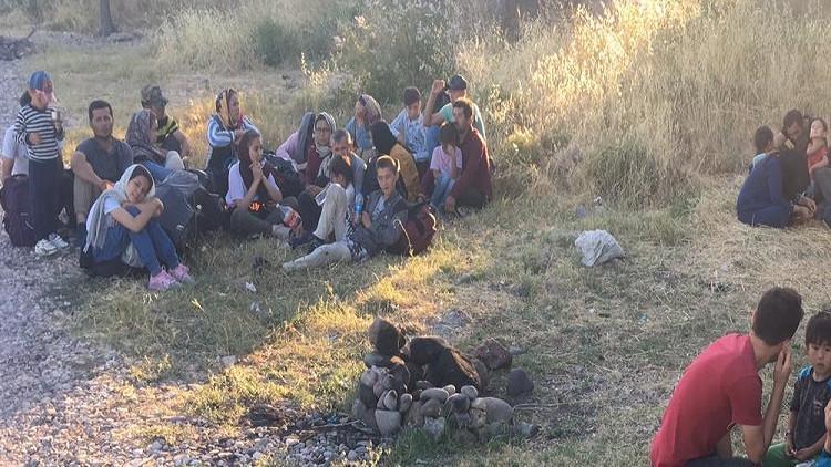 Çanakkale'de 43 kaçak göçmen yakalandı