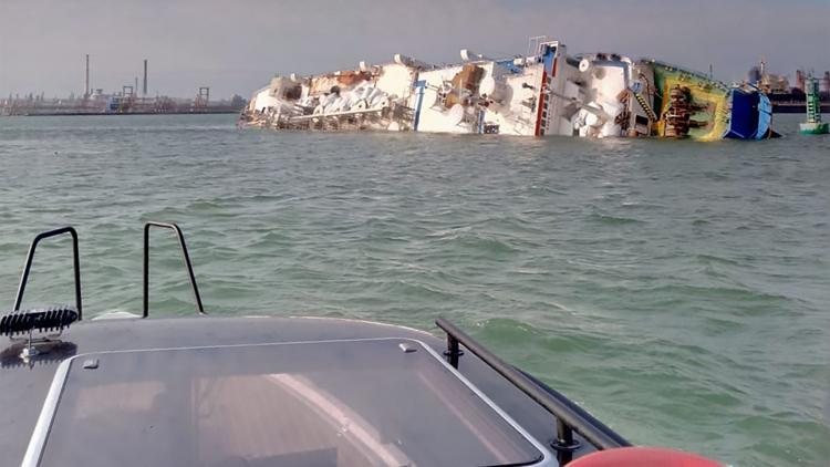 Karadeniz'de alabora olan geminin ambarında 14 bin koyun mahsur kaldı