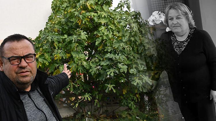 Sivrisinek ısırığı sonrası hayatını kaybetmişti... Acı detaylar ortaya çıktı