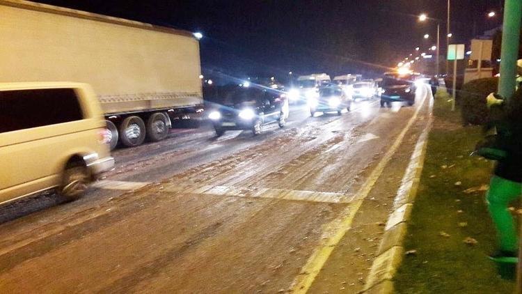 Yola saçılan hamsiler trafiğin aksamasına neden oldu