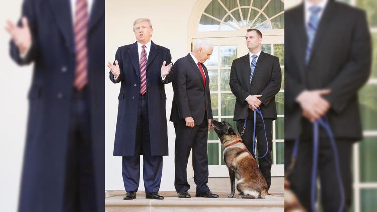 Bağdadi baskınına katılmıştı, o köpeğe madalya