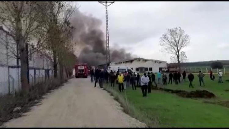 Son dakika... Çatalca'da fabrikada yangın