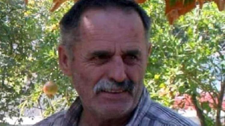 Sendikacı ağaçtan zeytin toplarken foseptiğe düşmüş