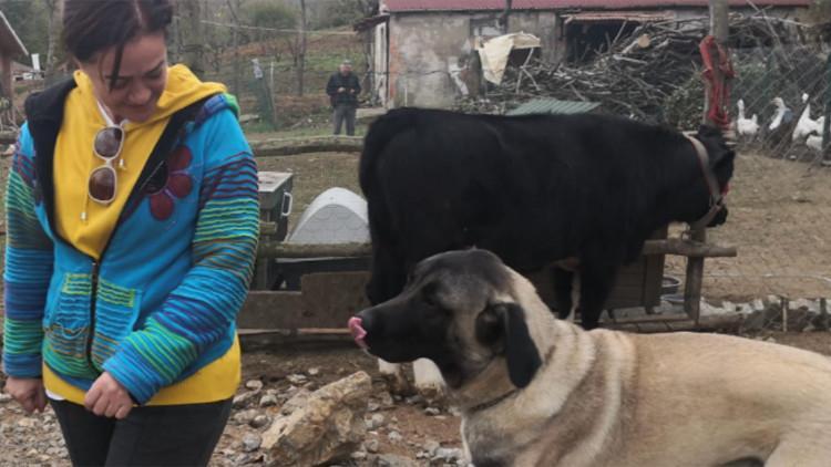 Bennu Yıldırımlar, doğum gününde hayvan barınağını ziyaret etti